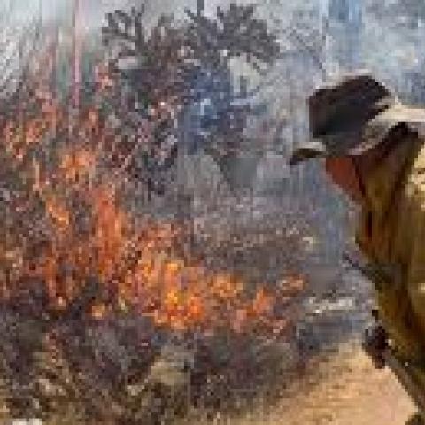 Incendios en Aguascalientes 