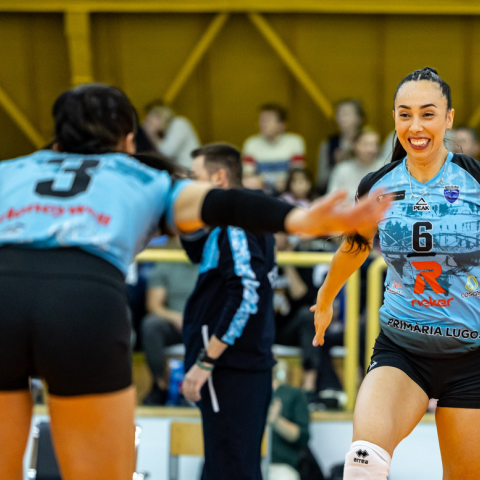 Voleibol de sala