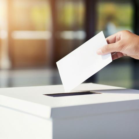 Elecciones judiciales