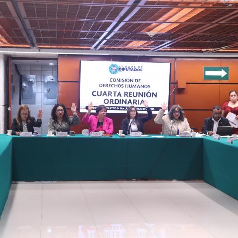 Interrupción del embarazo hasta las 12 semanas en Aguascalientes: Cámara de Diputados exhorta al Congreso del Estado
