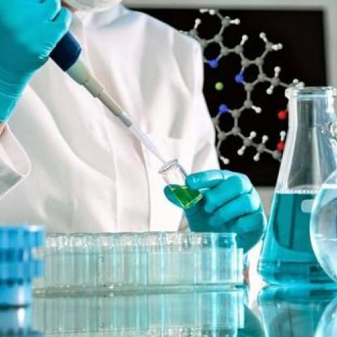 Científicos en EE. UU. consideran salir del país