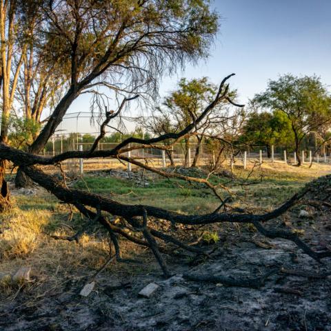 La Pona Aguascalientes