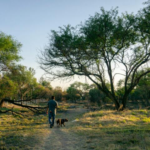 La Pona Aguascalientes 