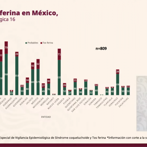 Aguascalientes, el estado con más casos de tosferina en el país; contabilizan 3 muertes en menores de 1 año