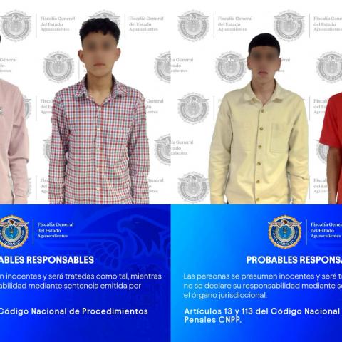 distribuidores