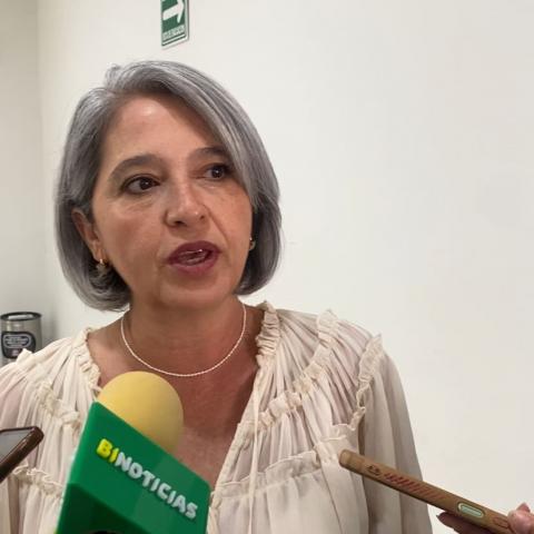 Seguridad nacional está desbordada: Mesa Ciudadana de Seguridad sobre disminución en Índice de Paz