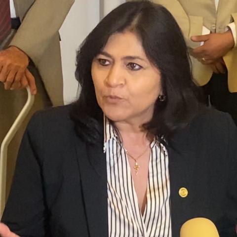 Debe trabajarse ante posible impacto de despidos mundiales en Nissan: Senadora