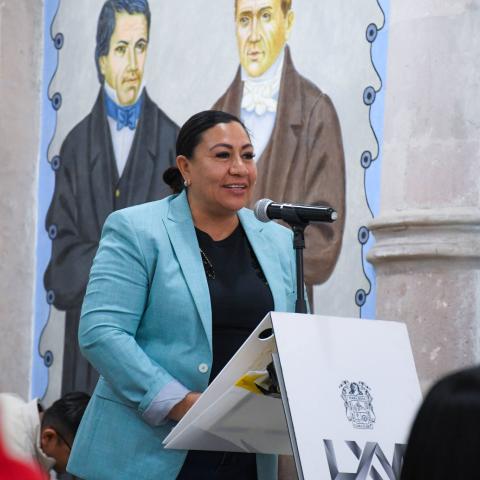 Mirna medina