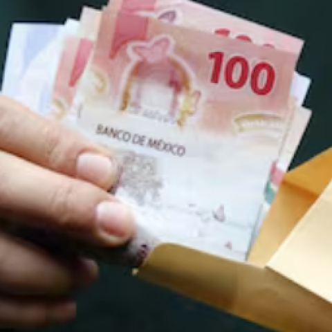 Pago de utilidades 