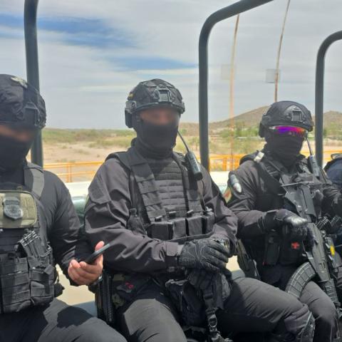 ICE presume desmantelamiento de tres narcolaboratorios en Sinaloa