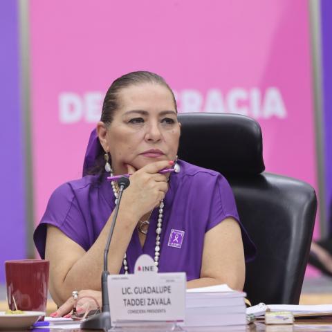 El INE lanza un llamado por falta de recursos