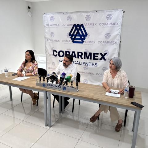 Hay una falla estructural en candidaturas únicas: Empresarios buscan apelar elección judicial en 2027