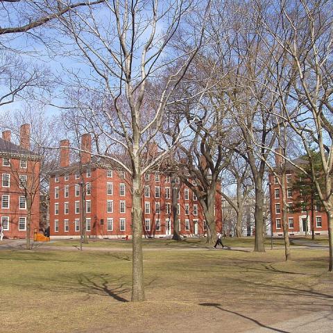 Universidad de Harvard 