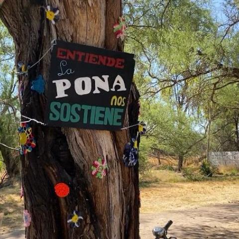 La Pona