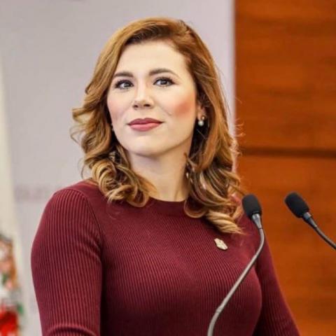PAN pide explicación por revocación de visas de la gobernadora Marina del Pilar y su esposo