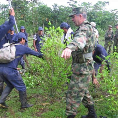 narcotráfico