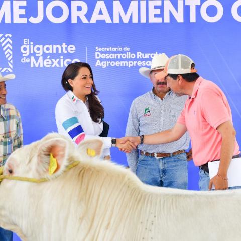 Tere Jiménez