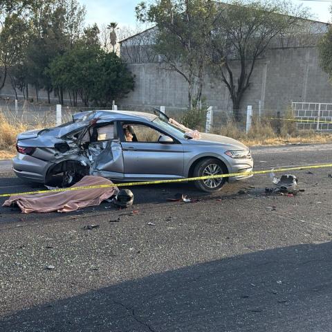 Muerto