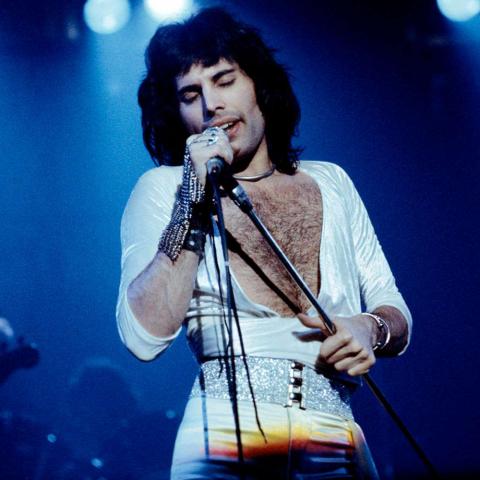 Mujer afirma ser hija ilegítima de Freddie Mercury