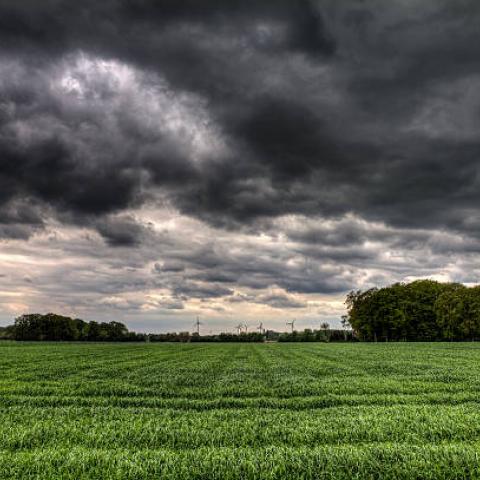 Lluvias