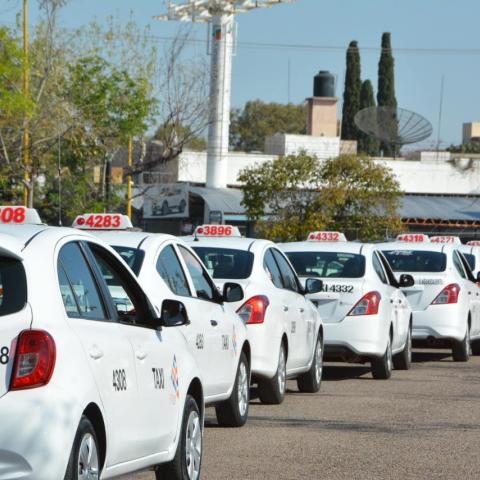 Taxis