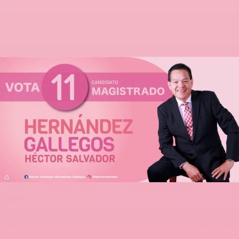 Héctor Salvador Hernández Gallegos