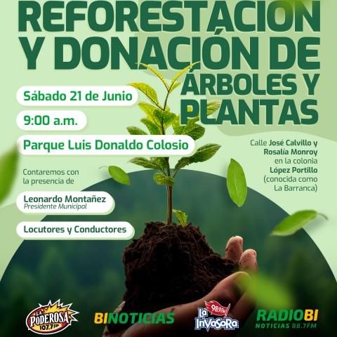 Mega reforestación 