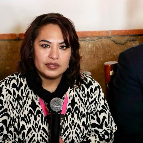 Brenda Castrejón Hernández