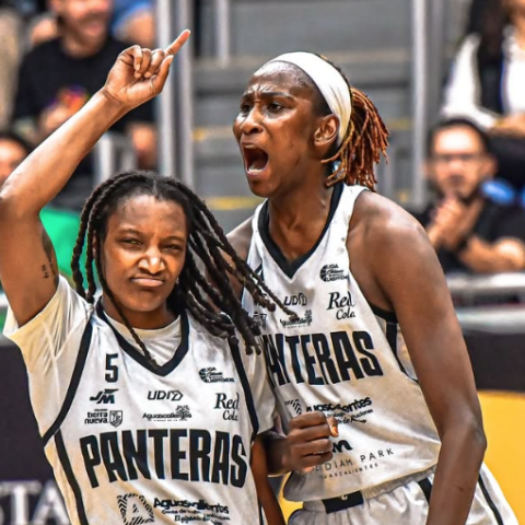panteras playoffs 2025
