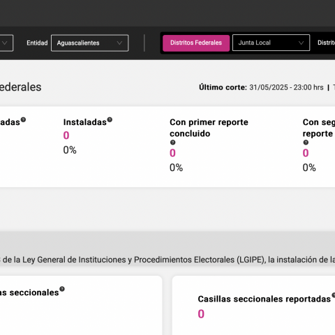 elección judicial
