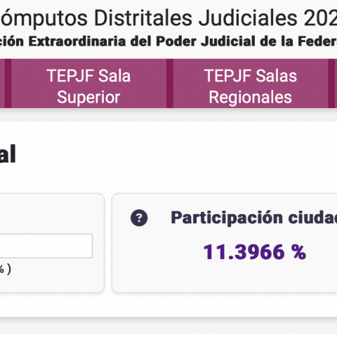 eleccion judicial federal