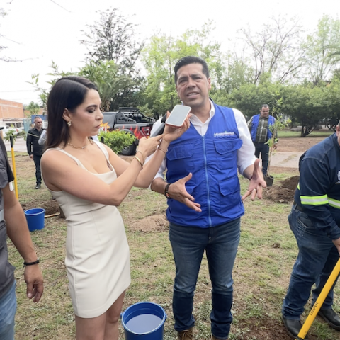 reforestación radiogrupo