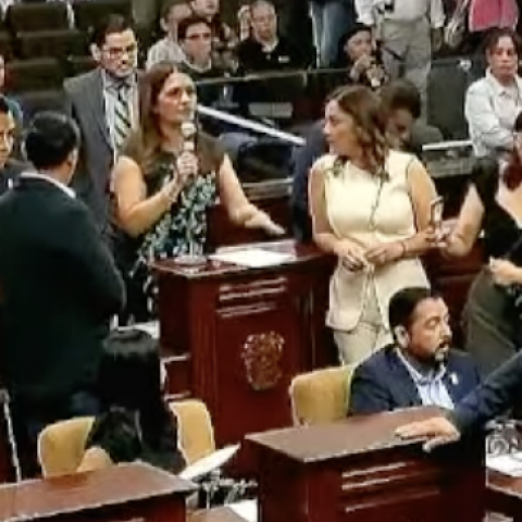 congreso del estado