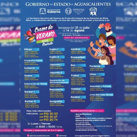 Cursos de verano 