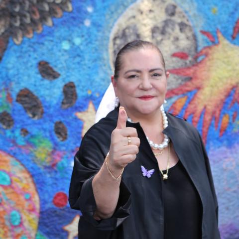 Guadalupe Taddei vota en la elecicón judicial; llevó sus anotaciones