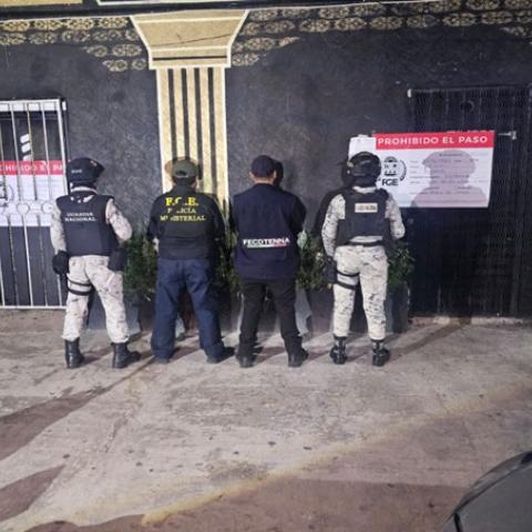 Rescatan en Cancún a 33 mujeres víctimas de trata