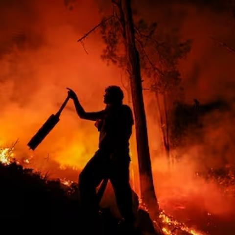 Más de 50 mil personas evacuadas por devastadores incendios forestales en Turquía