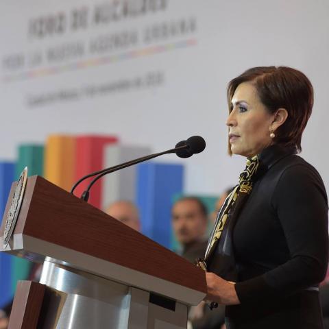 Rosario Robles 