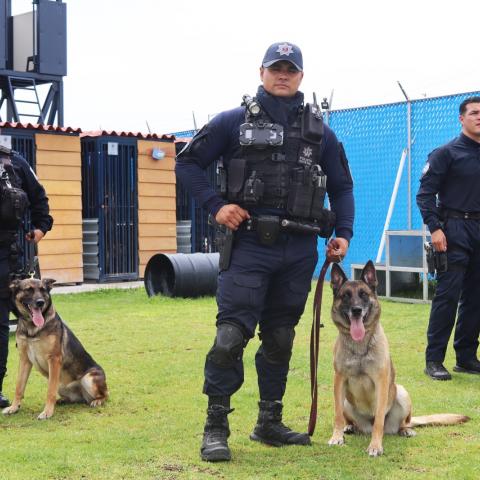 K9
