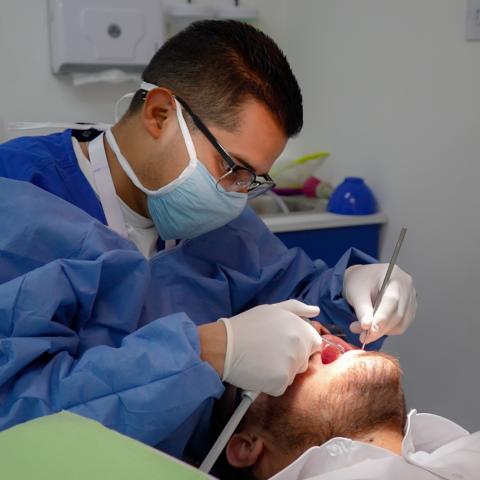 dENTISTA