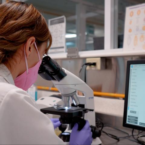 Laboratorios