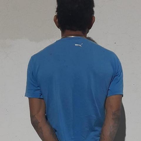 Distribuidor