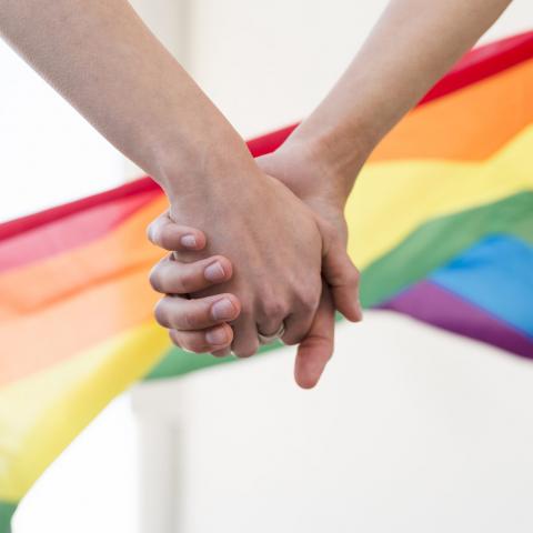 Pide PRD que diputados siglados voten en pro del matrimonio igualitario