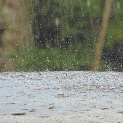 Con lluvias, servicio de agua se regularizó en el Estado: INAGUA