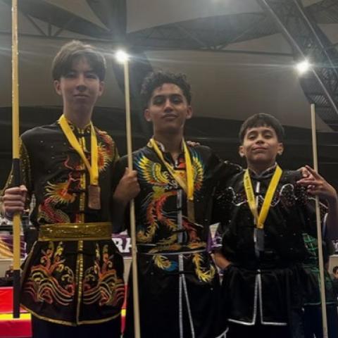 Campeonato Nacional Wushu