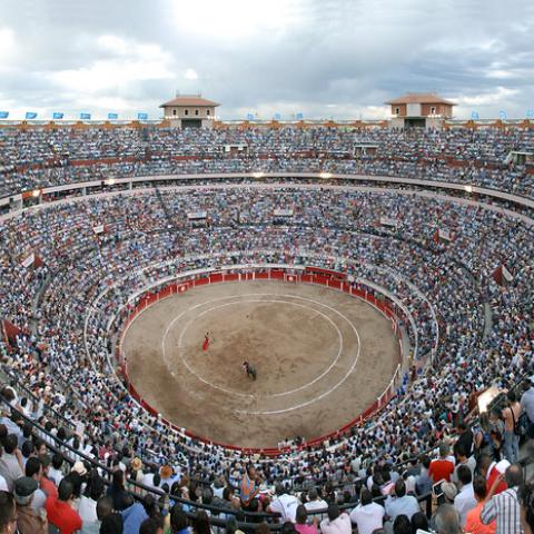 Ocupación hotelera podría incrementar hasta 30% por turismo taurino
