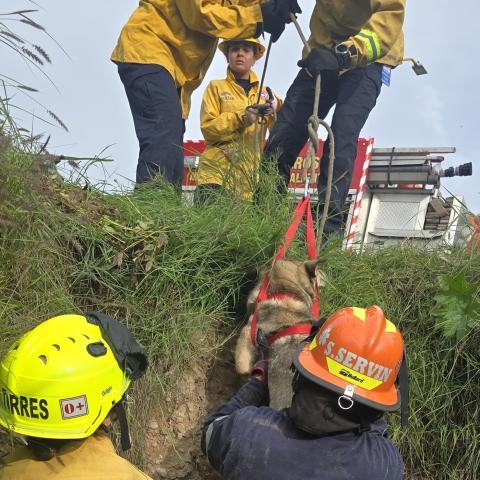 rescate