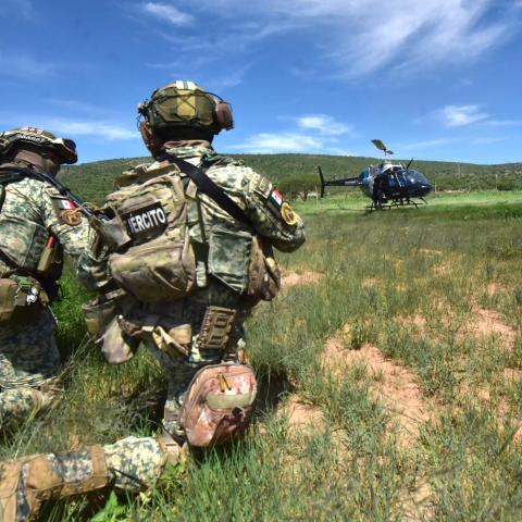 Operativo contra campamento criminal