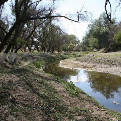 Río San Pedro