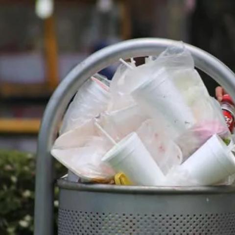bolsas de plástico